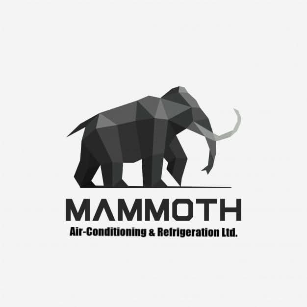 Mammoth Aircraft